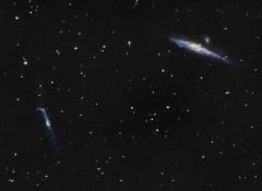 NGC4631 and NGC4656 the Whale and the Hockey Stick galaxies 2009-05-24